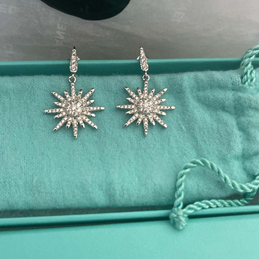 Mega Starburst Earrings 14k